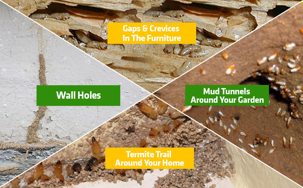 𝗧𝗲𝗿𝗺𝗶𝘁𝗲 𝗞𝗶𝗹𝗹𝗲𝗿 𝗦𝗽𝗿𝗮𝘆 - 𝗘𝗳𝗳𝗲𝗰𝘁𝗶𝘃𝗲 𝗣𝗲𝘀𝘁 𝘀𝗼𝗹𝘂𝘁𝗶𝗼𝗻 𝗳𝗼𝗿 𝘆𝗼𝘂𝗿 𝗵𝗼𝗺𝗲 🔥 (𝗕𝘂𝘆 𝟭 𝗴𝗲𝘁 𝟮 𝗙𝗿𝗲𝗲)